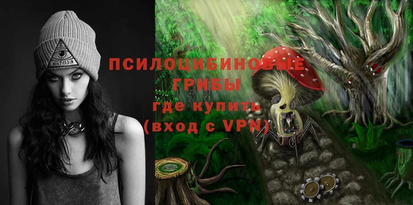 твердый Алзамай