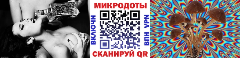 Галлюциногенные грибы Psilocybine cubensis  нарко площадка состав  Гаджиево  купить наркоту 